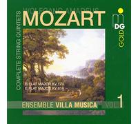 Mozart Ensemble Villa Musica (CD)