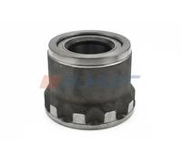 Mozzo ruota 81543 AUGER