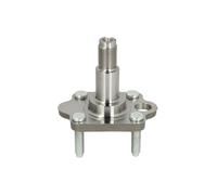 Mozzo ruota BTA H50004BTA