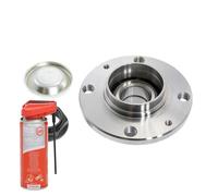 Mozzo ruota con cuscinetto posteriore + olio multifunzione per PEUGEOT; CITROËN