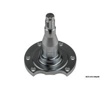 Mozzo Ruota Posteriore Per AUDI CABRIOLET 1991-2000 KLT/AU/083AB