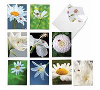 mp-mini-alloccasion-animal-collage il meglio della società Mini My Fair Ladybug AM6332OCB-B1x10