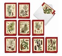 mp-xsmn-plant piante 1 christmas mini note carta imposta il meglio della società Holiday Stationery Pining for Christmas AM9627SGG-B2x10