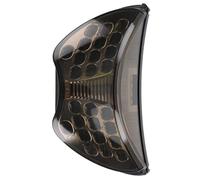 MPODYTSF Parte della Luce Fanale Posteriore per Moto, Indicatori di Direzione, Stop, Freno, Fanale Posteriore per Honda CBR600F/F4/F4i 2004 2005 2006
