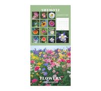 Mppchhn Calendario da parete 2026 | Calendario mensile da appendere a tema floreale, 12 mesi, per artisti, studenti, amanti della natura, camera da letto, soggiorno, ufficio, aula