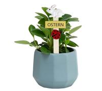 Mppchhn Cartelli Pasquali da Giardino,Simpatici Coniglietti Pasquali in Resina | Decorativi Per Giardino,Per Verande Cortile Feste E La Festa Di Primavera