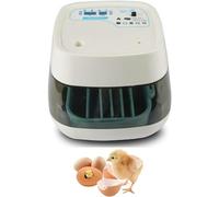 MQDLJSE Incubatrice per Uova, Display Digitale a LED per incubatrice per pollame, Mini incubatrici digitali Automatiche con 16 Uova con Giatore, Tester per Uova incorporate, Rosa