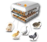 MQDLJSE Incubatrici digitali, incubatrice per Uova con Funzione di Rotazione Automatica, schiusa Digitale Automatica con Controllo della Temperatura, Bianco, 16 Uova