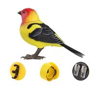Mqiklt Uccellino Elettrico Che E Cinguetta, Ideale Come Decorazione per La Casa O Come Giocattolo per Bambini, Tanager, Taglia unica