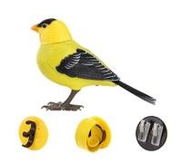 Mqiklt Uccellino Elettrico Che E Cinguetta, Ideale Come Decorazione per La Casa O Come Giocattolo per Bambini, Cardellino americano, Taglia unica