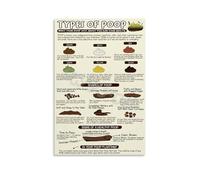 MQXFCZUX Patient Education Poster, Understanding the Bristol Stool Chart, Informational Sign for Hospital or Clinic Bathroom Unframed,12x18inch(30x45cm)