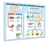 MQXFCZUX Science Classroom Decor Poster - Animal Kingdom Classification & Zoology Taxonomy Chart for Biology Teachers & Students Framed,12x18inch(30x45cm)