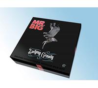 Mr Big - Defying Gravity (3 LP)