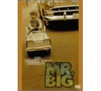 Mr.Big - Greatest Video Hits [Linear PC