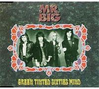 Mr. Big - Green tinted sixties mind (#7860402)
