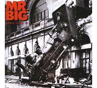 Mr. Big - Lean into it (1991)