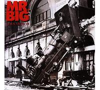 Mr. Big – Lean Into It – Atlantic Bicycle