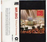 Mr Big - Mr. Big Live
