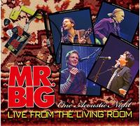 Mr. Big - Live From The Living Room
