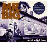 Mr Big - Nothing But Love