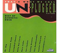 Mr. Big, Ugly Kid Joe, Suzanne Vega, Crowded House, Lenny Kravitz..