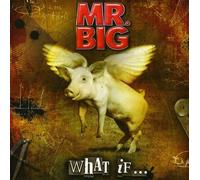 Mr. Big - What If