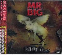 Mr. Big - WHAT IF -CD+DVD-