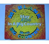 Mr.Blank Meets Big Country - Stay Alive in Big Country
