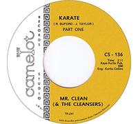 Mr Clean & The Cleansers - Karate