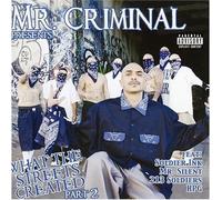 Mr. Criminal - What The Streets Created Pt. 2