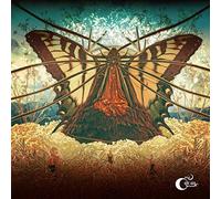 Mr. Gnome - Heart Of A Dark Star