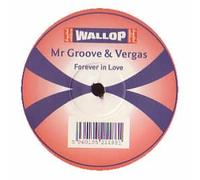 Mr Groove & Vergas - Forever in Love