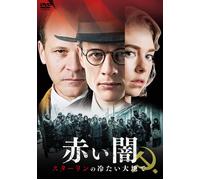 Mr. Jones (DVD) James Norton