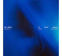 Mr. Käfer A Past Sense (Vinyl LP) 12" Album