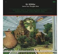 Mr Mibbler Mr Mibbler: Leave Your Thoughts Here (Vinyl LP) 12" Album