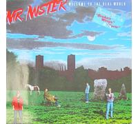 Mr. Mister - Mr Mister Welcome To The Real World LP RCA PL89647 EX/EX 1985
