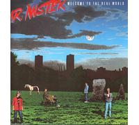 Mr Mister - Welcome to the real world (1985) / Vinyl record [Vinyl-LP]