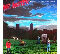 Mr. Mister - Welcome To The Real World