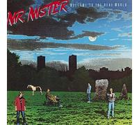 Mr Mister - Welcome To The Real World