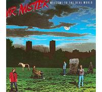 MR MISTER - WELCOME TO THE REAL WORLD LP (VINYL) GERMAN RCA 1985