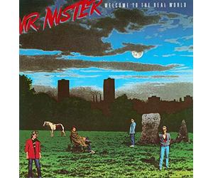 MR MISTER - WELCOME TO THE REAL WORLD LP (VINYL) GERMAN RCA 1985