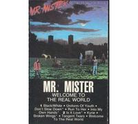Mr. Mister - Welcome to the Real Worldmr. Mister [CASSETTE]