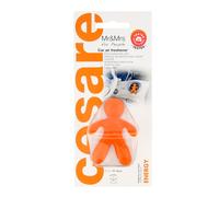 Mr & Mrs Fragrance Cesare fragranza per auto 1 pz variante Energy