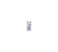 Mr&mrs fragrance Cesare Orange & Sandalwood - Profumo auto