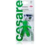 Mr & Mrs Fragrance Cesare Warm Spicy deodorante per auto 1 pz