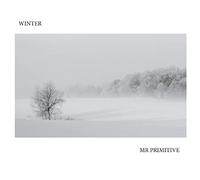 Mr Primitive - Winter