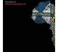 Mr Raoul K & Manoo - African Paradigm Ep 2