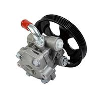MR519445 Pompa servosterzo per auto MR519445 Compatibile con Mitsubishi Pajero Pinin Montero IO 4WD 1999-2005 MR519445 MR418566