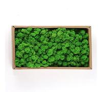 Mrisata Muschio Artificiale, Piante di Lichene Verde Finto All'aperto per la Casa, Il Giardino, la Decorazione del Patio Erba Sintetica da Giardino Dall'aspetto Realistico 500g (Verde tenero / 500g)