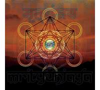 Mrityunjaya-2011 Japan Tsunami Relief Cd - Various Artists (Audio CD)